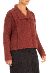 Collar Burnt Brick Alpaca Wool Cardigan 3