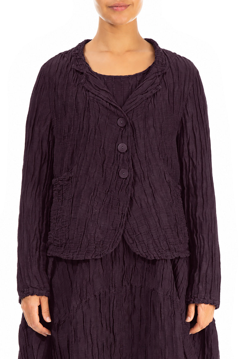 Short Crinkled Deep Plum Silk Linen Jacket