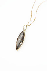 Turritella Fossil Pendant Necklace 4